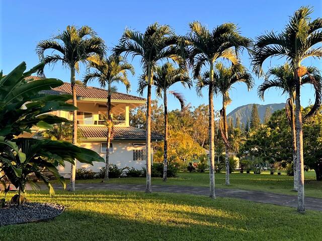 Mokihana House Kauai: Renovated with AC & pool gallery image 2