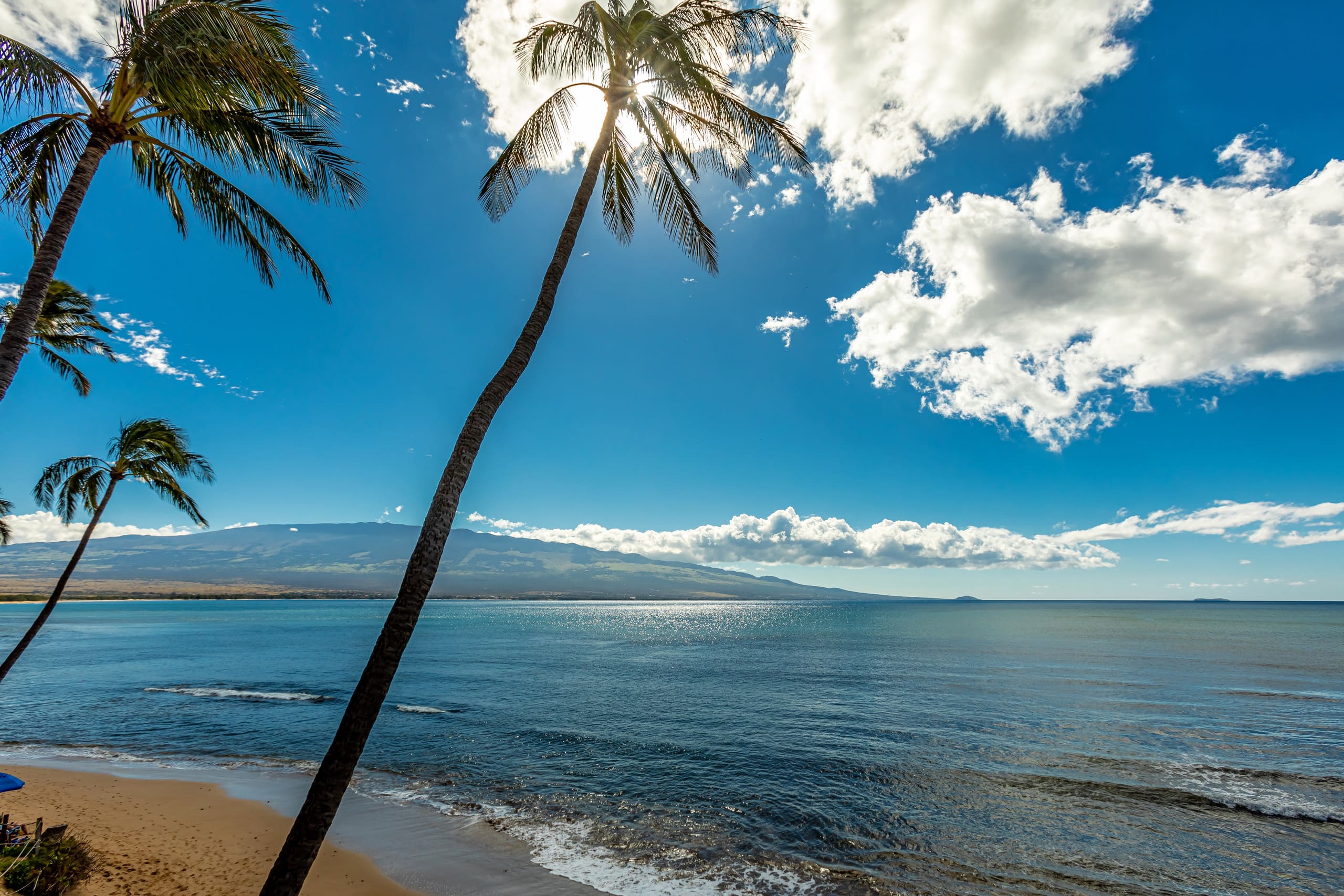 Condo in Wailuku · ★4.86 · 2 bedrooms · 4 beds · 2 private baths - Image 42