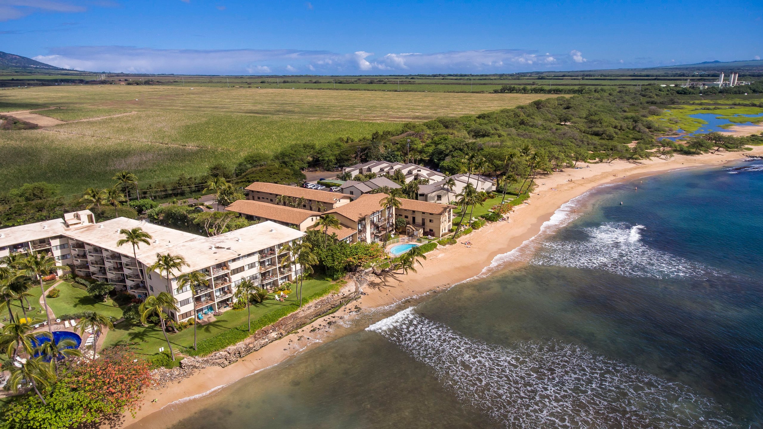 Condo in Wailuku · ★4.86 · 2 bedrooms · 4 beds · 2 private baths - Image 45