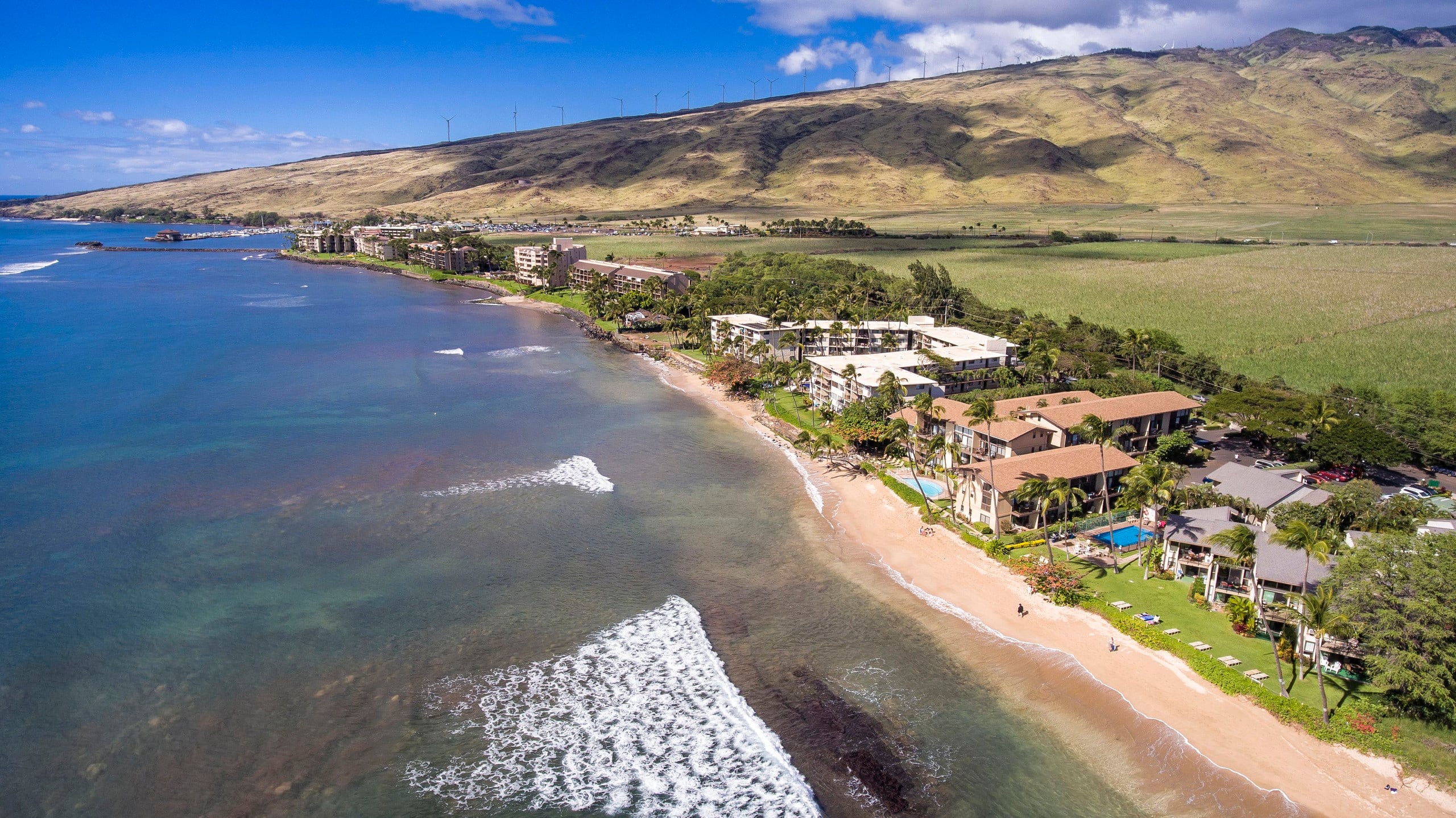 Condo in Wailuku · ★4.86 · 2 bedrooms · 4 beds · 2 private baths - Image 44
