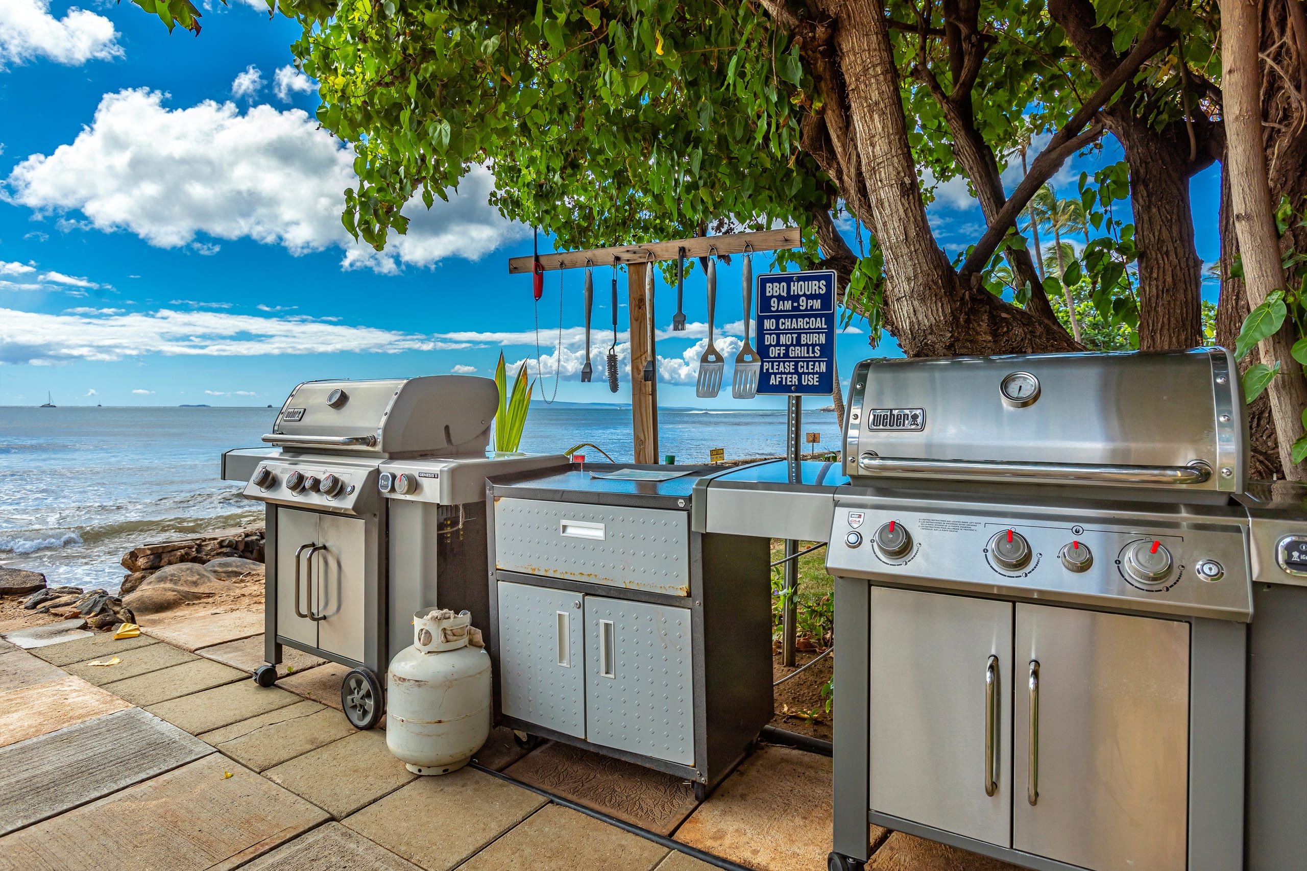 Condo in Wailuku · ★4.86 · 2 bedrooms · 4 beds · 2 private baths - Image 34
