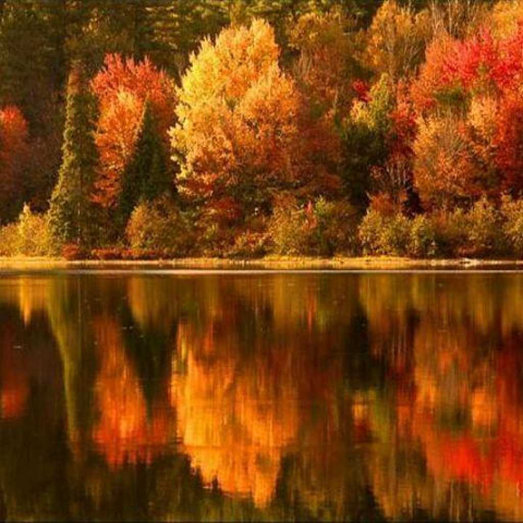 A serene lakeside scene showcases a vibrant display of autumn foliage. Colorful trees reflect off the calm water surface, creating a picturesque natural setting. The tranquil environment is surrounded by dense woods, offering a peaceful retreat in nature.