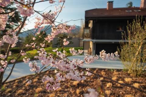 Lake Annecy House with hot tub, stunning views