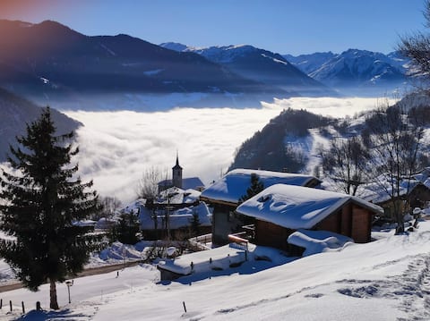 Successful Airbnb property: The mountainside, nature side in Aime La Plagne