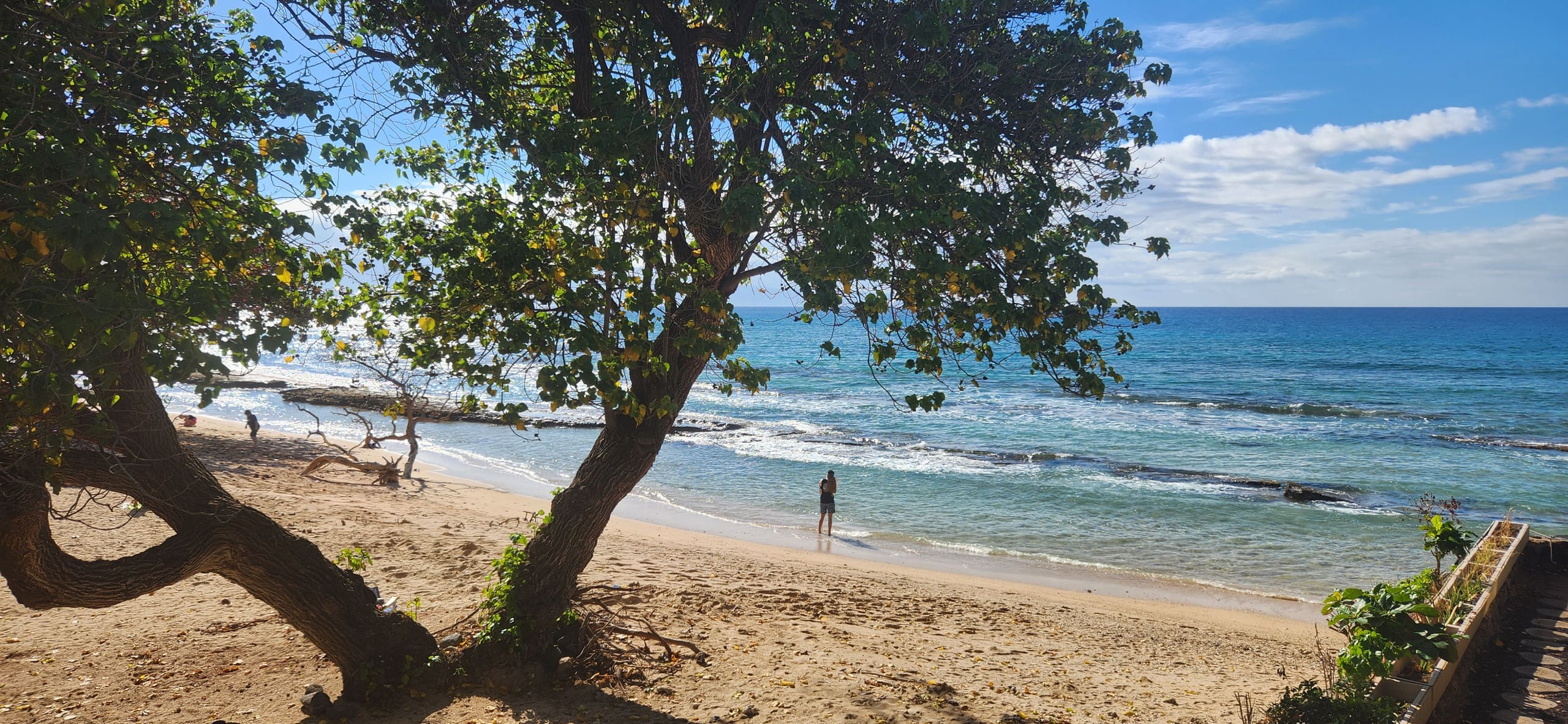 Condo in Lahaina · ★4.86 · 1 bedroom · 1 bed · 1 private bath - Image 38