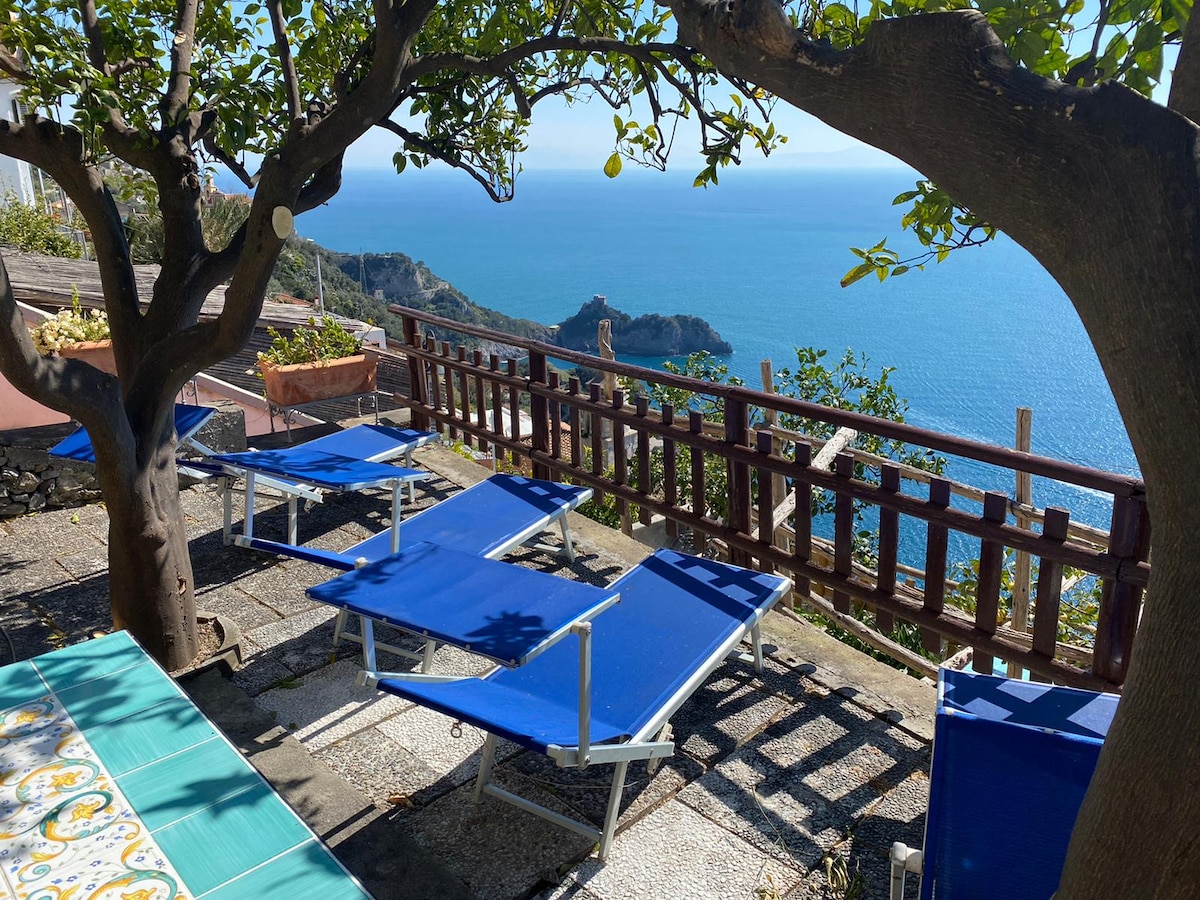 Multiple sun loungers are arranged on a stone patio under the shade of a lemon tree, offering views of the Tyrrhenian Sea. A wooden railing frames the space, enhancing the outdoor relaxation area surrounded by greenery and a tiled table, inviting moments of rest and enjoyment.