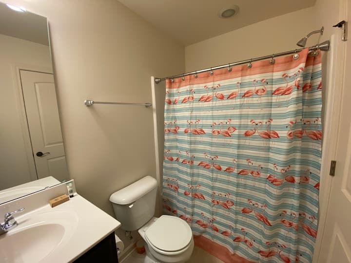 12 Best PetFriendly Airbnb Vacation Rentals In Raleigh, North Carolina