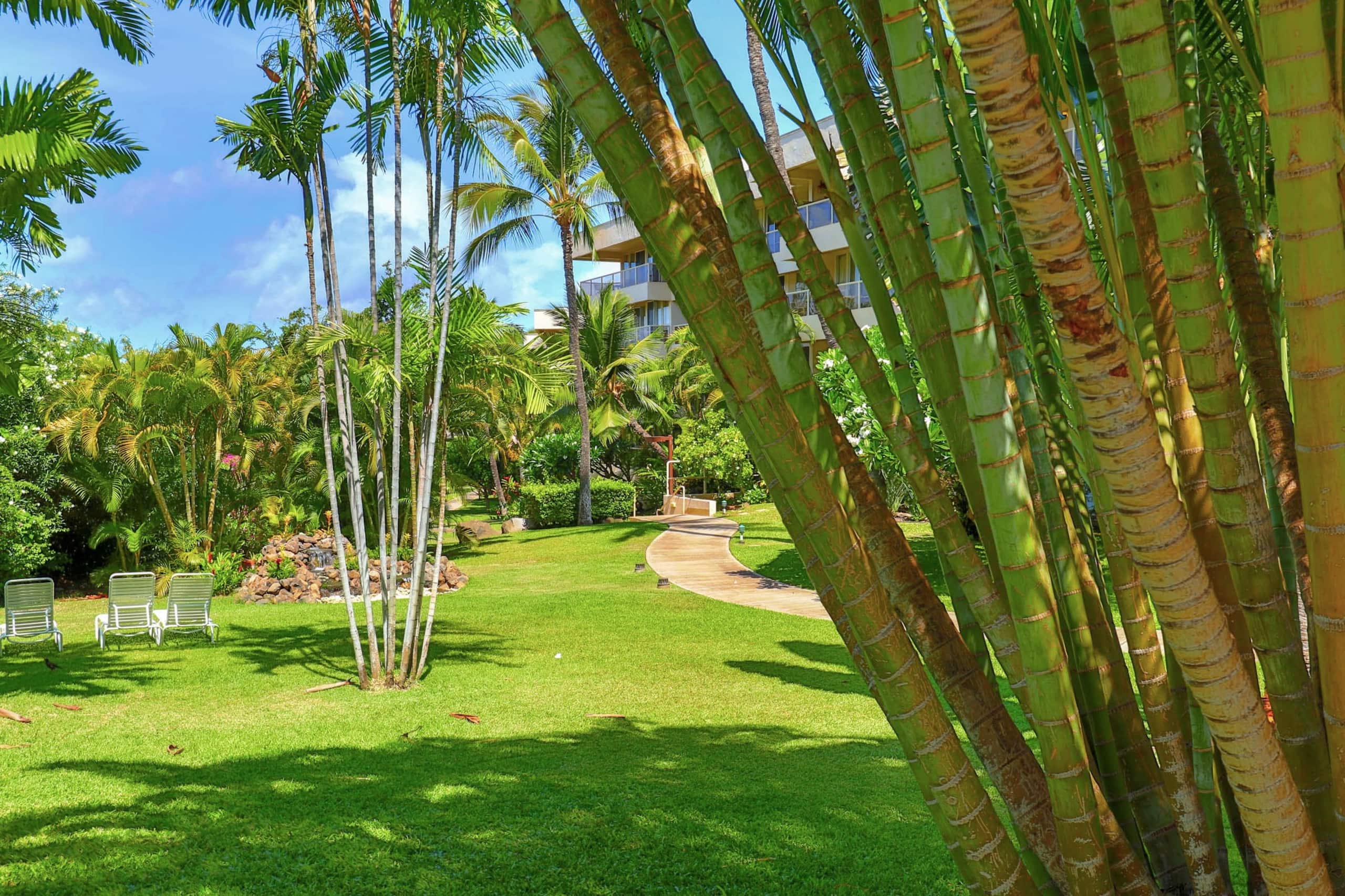 Condo in Kihei · ★4.81 · Studio · 1 bed · 1 private bath - Image 8