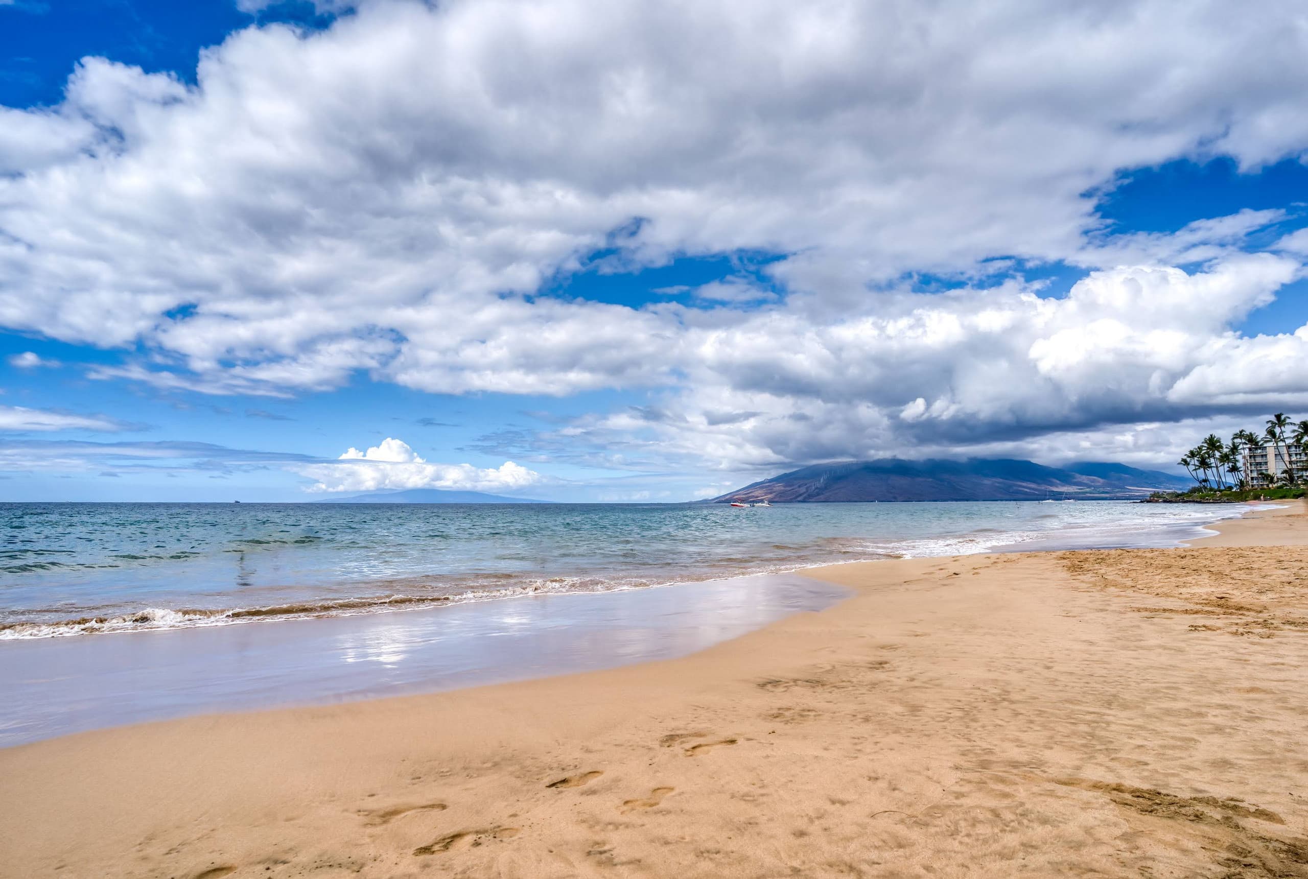 Condo in Kihei · ★4.81 · Studio · 1 bed · 1 private bath - Image 17
