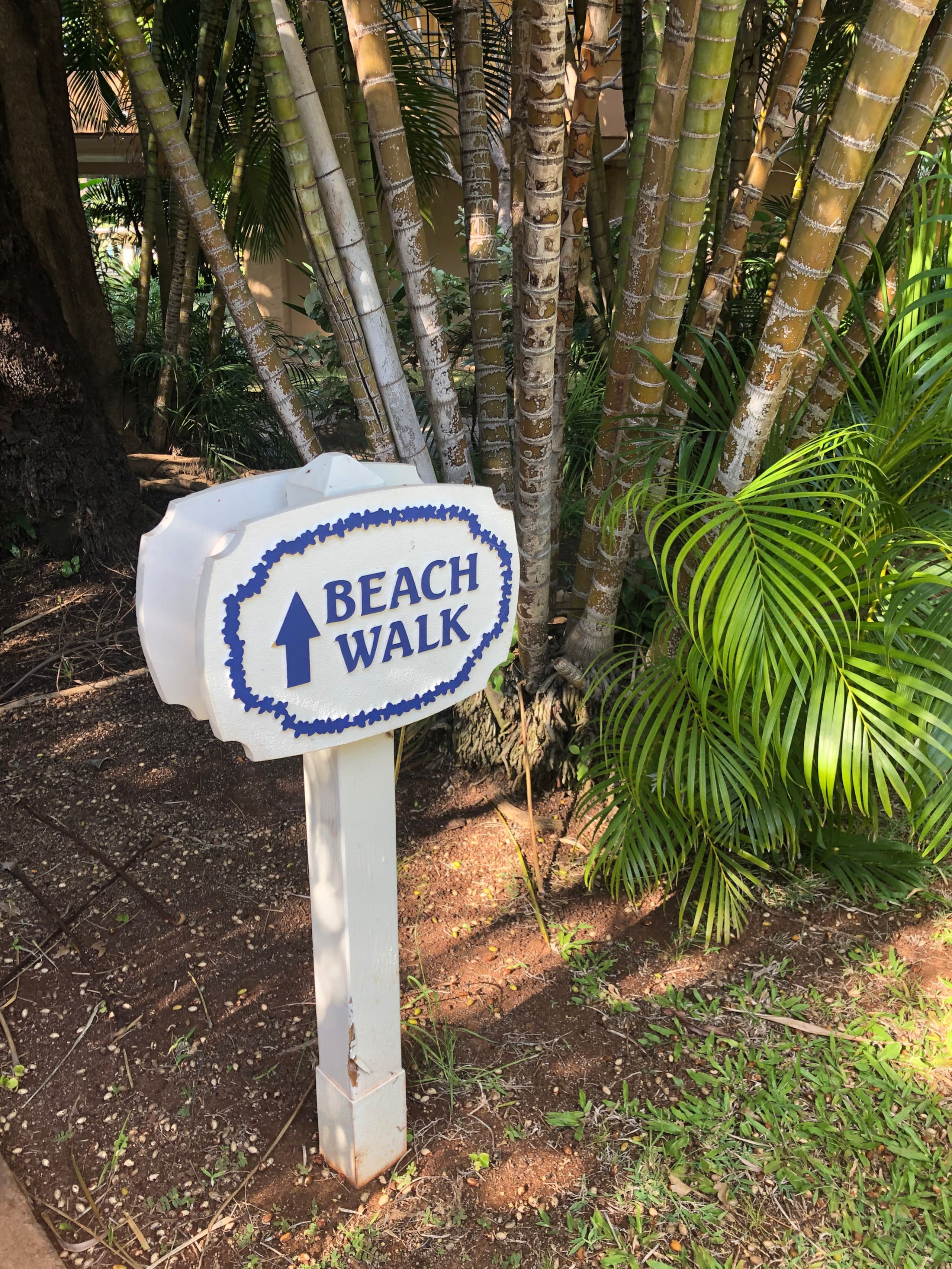 Condo in Lahaina · ★4.38 · 1 bedroom · 2 beds · 1 bath - Image 32