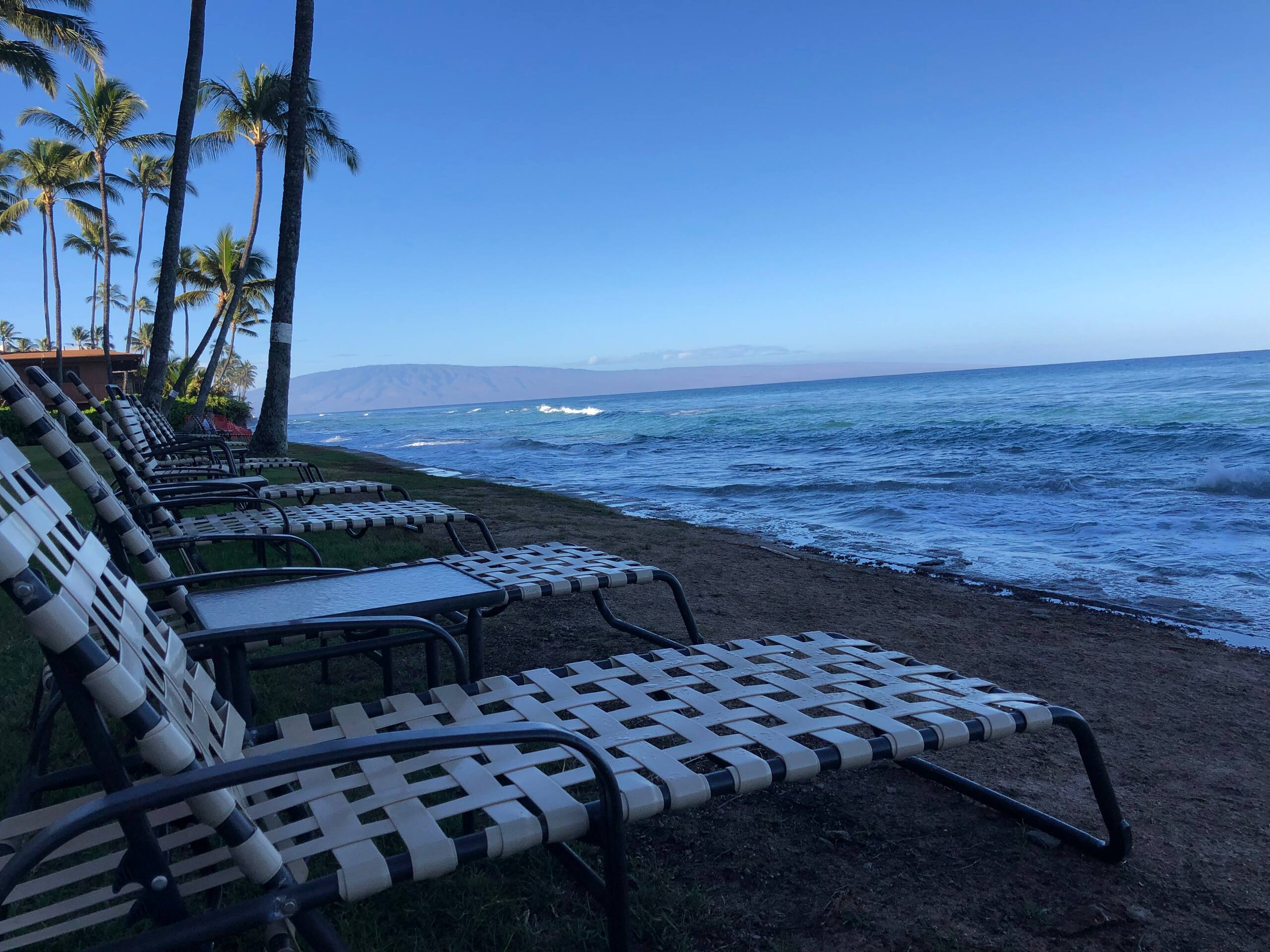 Condo in Lahaina · ★4.38 · 1 bedroom · 2 beds · 1 bath - Image 39