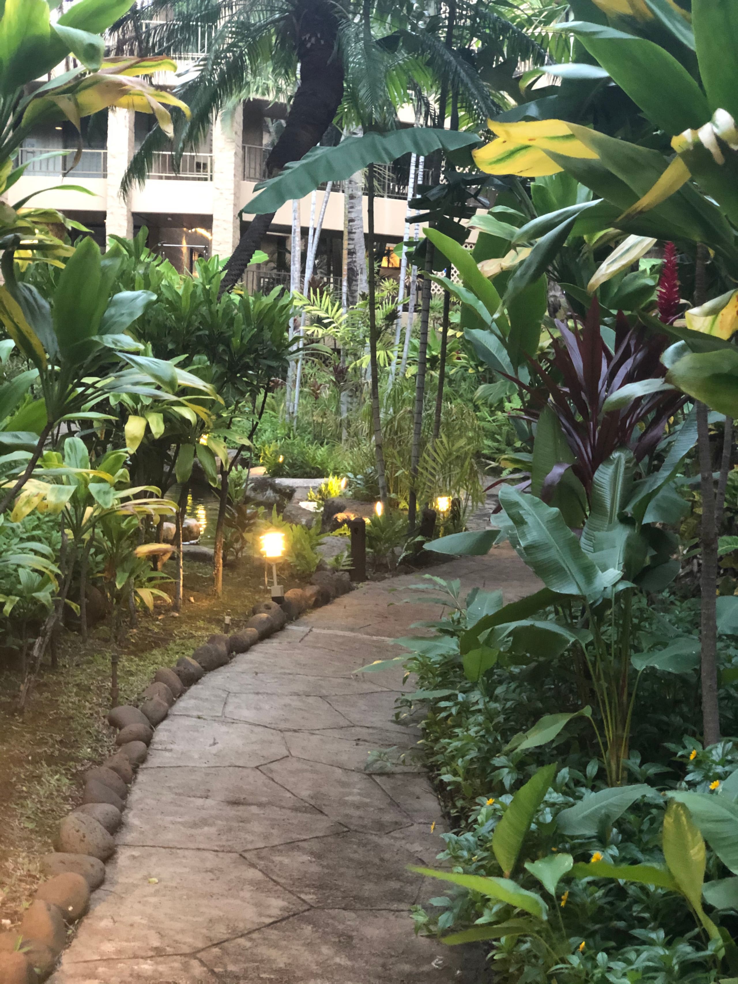 Condo in Lahaina · ★4.38 · 1 bedroom · 2 beds · 1 bath - Image 30