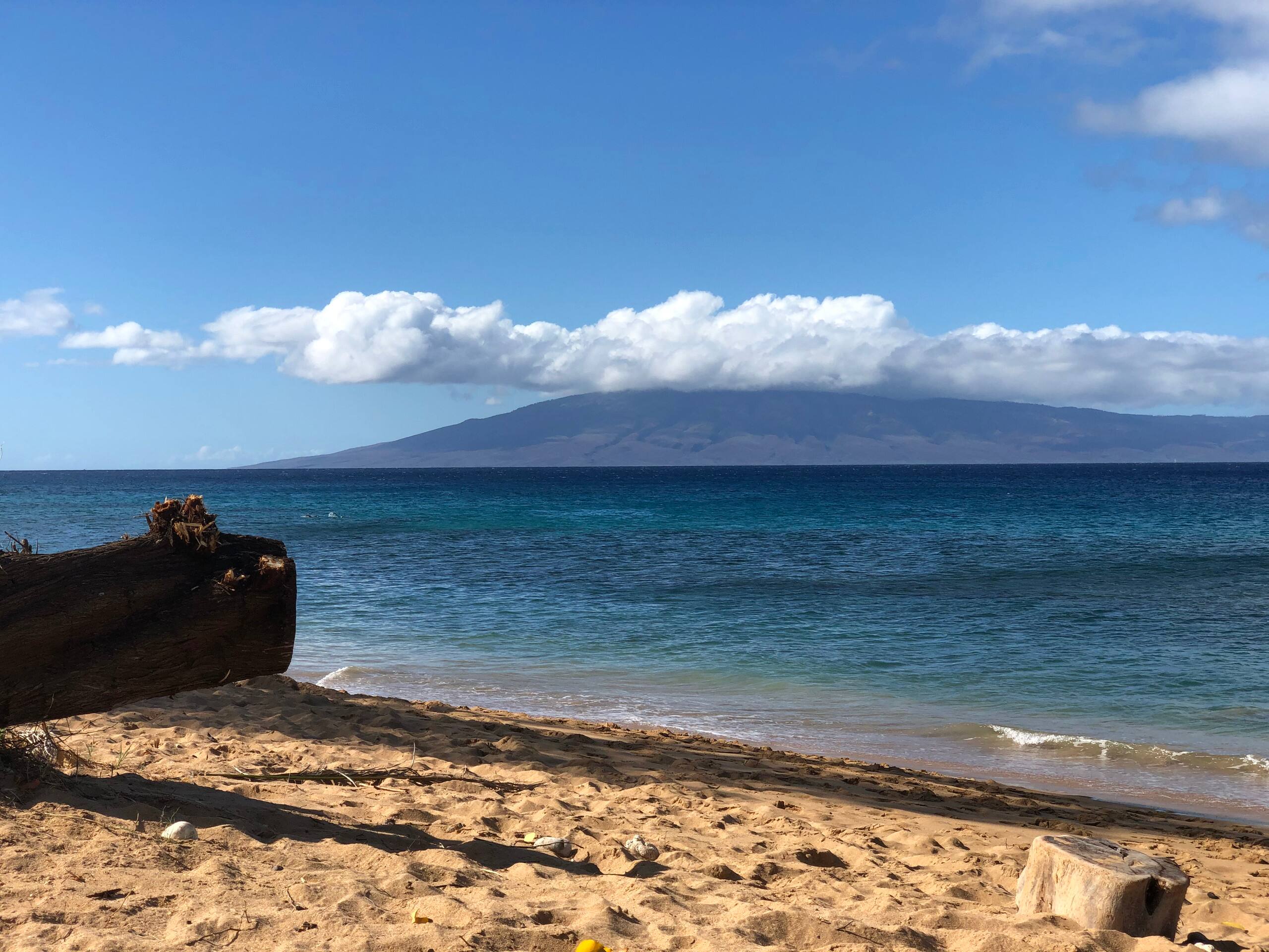 Condo in Lahaina · ★4.38 · 1 bedroom · 2 beds · 1 bath - Image 31