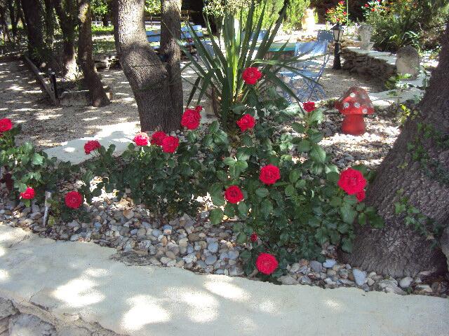 A landscaped garden features vibrant red roses blooming among smooth pebbles. Surrounding greenery includes tall plants and trees, creating a peaceful outdoor space. A blue lounge chair and decorative mushroom are visible in the background, enhancing the garden's serene atmosphere.