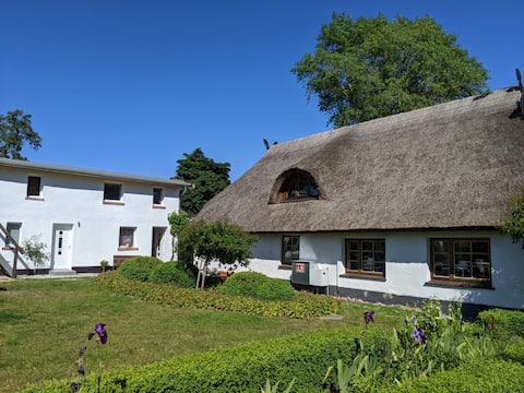 Vacation rental for up to 4 people 55 sqm/garden/terrace