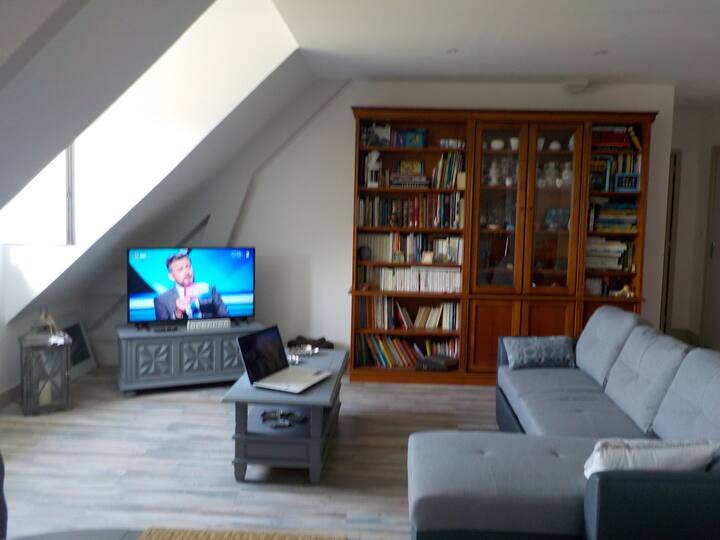 Appartement Sympa Du Petit Pont - Saint-Junien