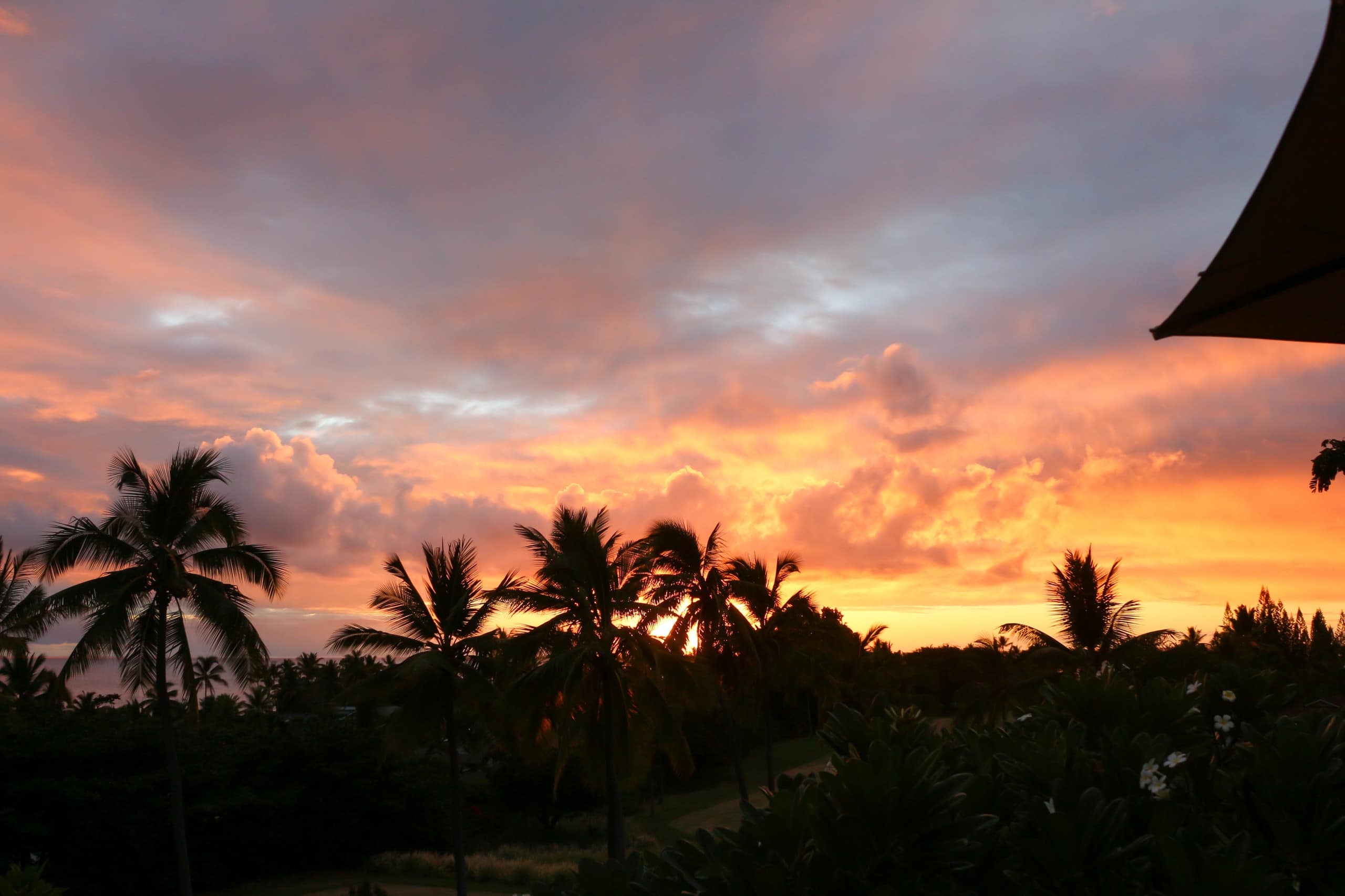 Condo in Kailua-Kona · ★4.86 · 1 bedroom · 1 bed · 1 bath - Image 34