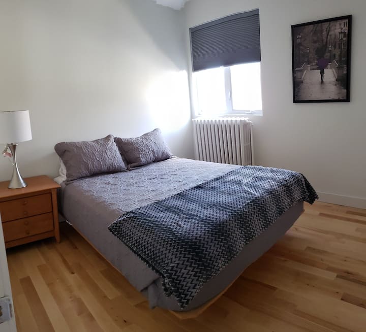 Le Paisible 1 Chambre Centre Ville Chicoutimi 3 Appartements A Louer A Saguenay Quebec Canada Airbnb