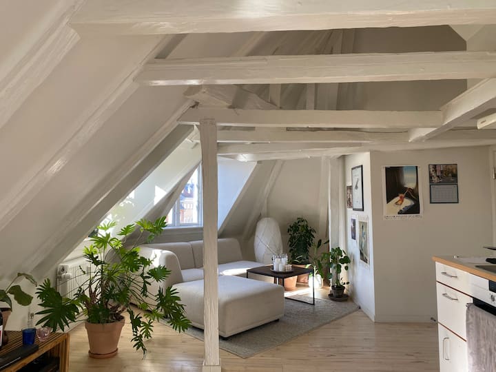 Charmerende Københavnerlejlighed I Indre By - Copenhague
