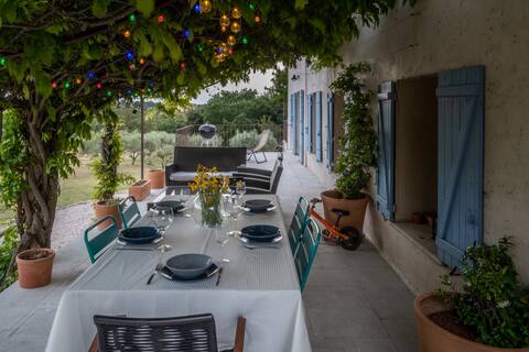 Large family house in the vineyards