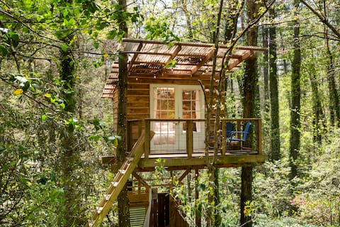 Popular Airbnb listing: Beacon Treehouse in Asheville