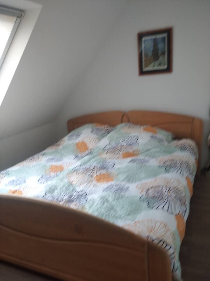 Dormitorio 1