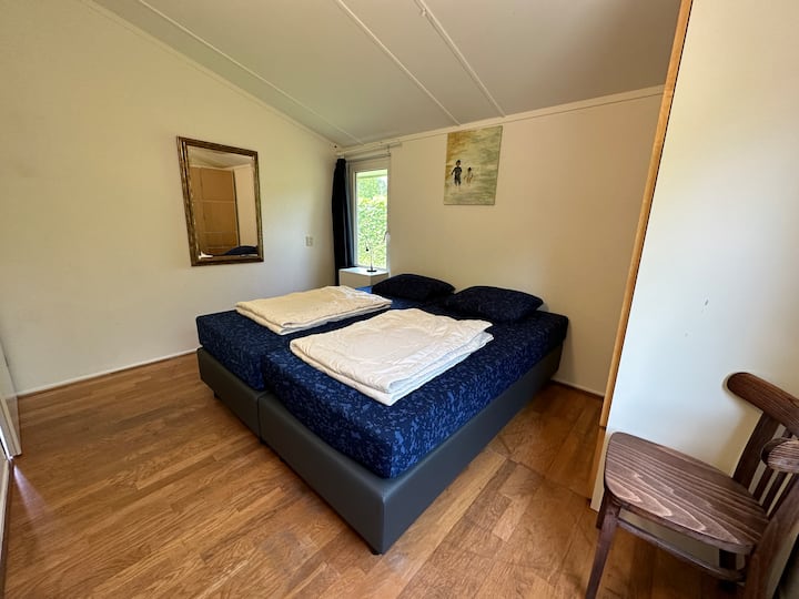 Lits à ressorts Box de 2023