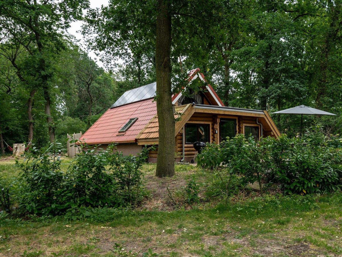 The exterior of a bungalow is surrounded by trees and greenery. The cabin features a sloped roof with solar panels, large windows, and a shaded patio area. A garden with shrubbery frames the structure, providing a sense of privacy and connection to nature.