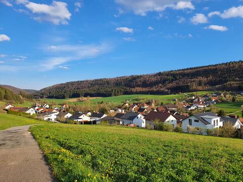 Comfortable apartment near Tuttlingen