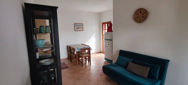 Sala de estar con cocina americana y cama y sofá cama con un cuadrado y medio. Acceso al patio trasero privado