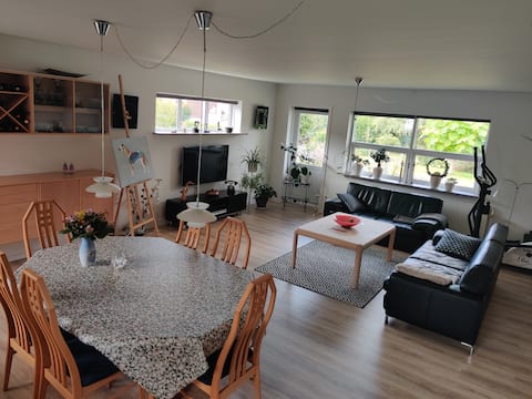 Popular Airbnb listing: Cozy rental with Jan as host. in Nordfyns