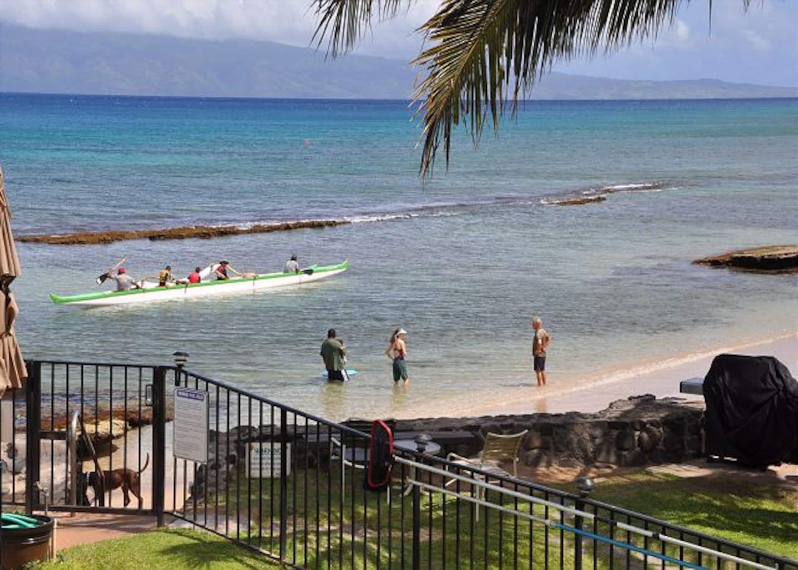 Condo in Lahaina · ★4.87 · 1 bedroom · 1 bed · 1 bath - Image 18