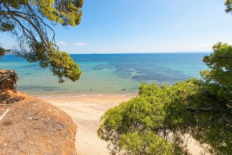 A sandy beach is visible in the foreground, edged by gentle waves. The water displays various shades of blue and green, while the shoreline transitions to a clear sandy area. Several trees frame the scene, providing a sense of shade and natural beauty.