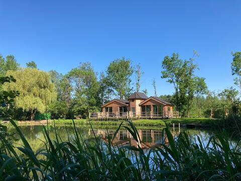 the Scheldepolder