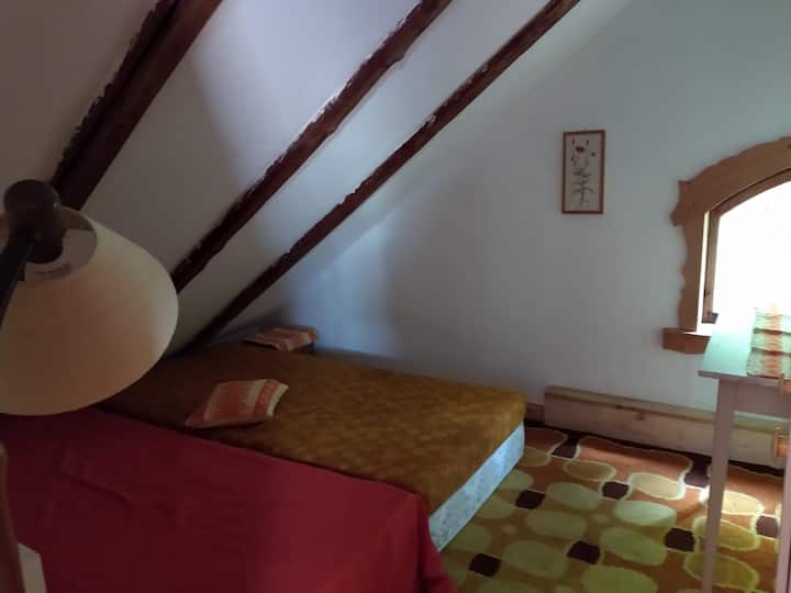 DG - Campamento de la cama