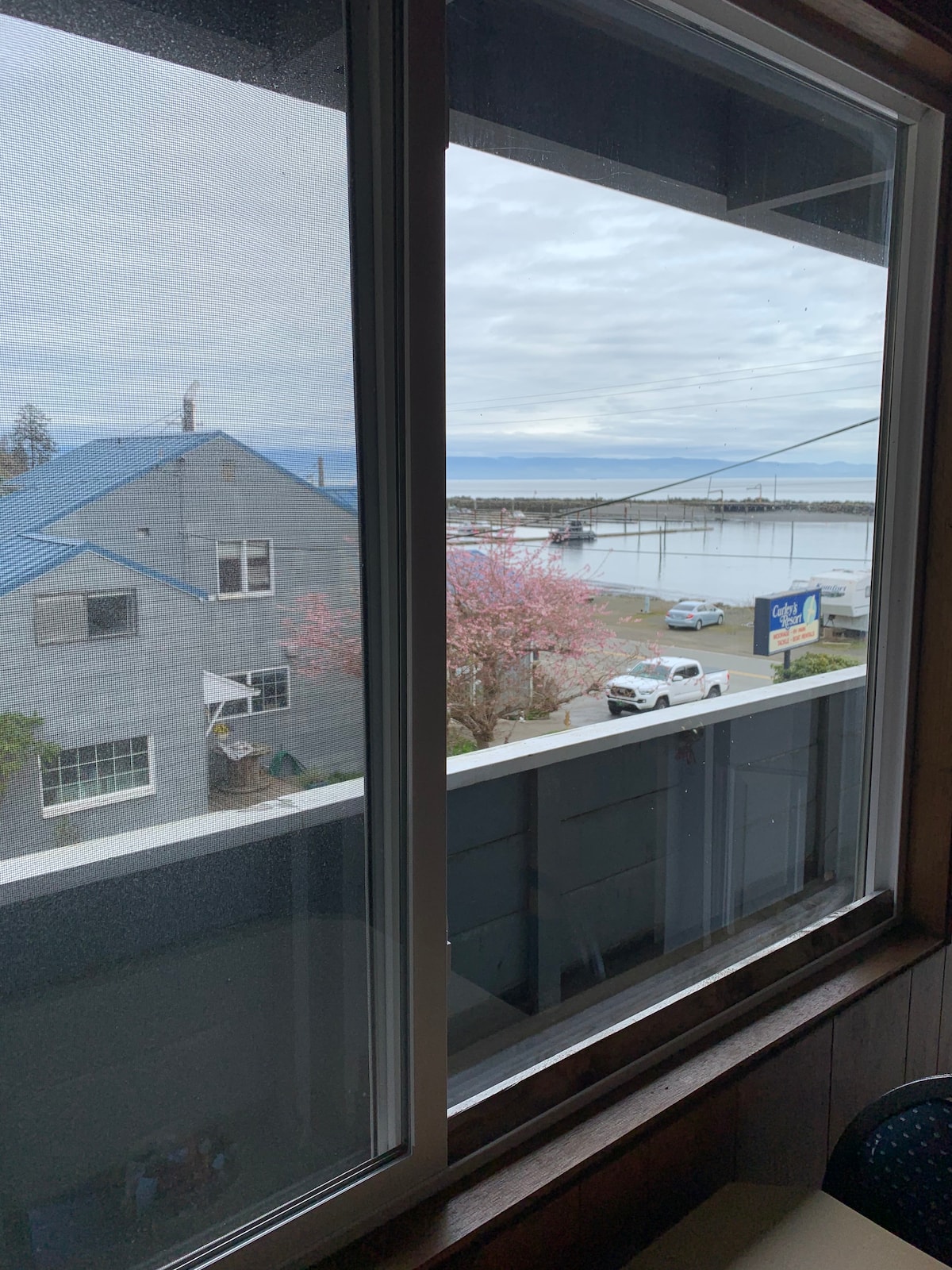 A view from the window captures the tranquil waterfront scene, surrounded by a residential area. Blooming trees and parked vehicles are visible along the street, while the water stretches into the distance under a cloudy sky.