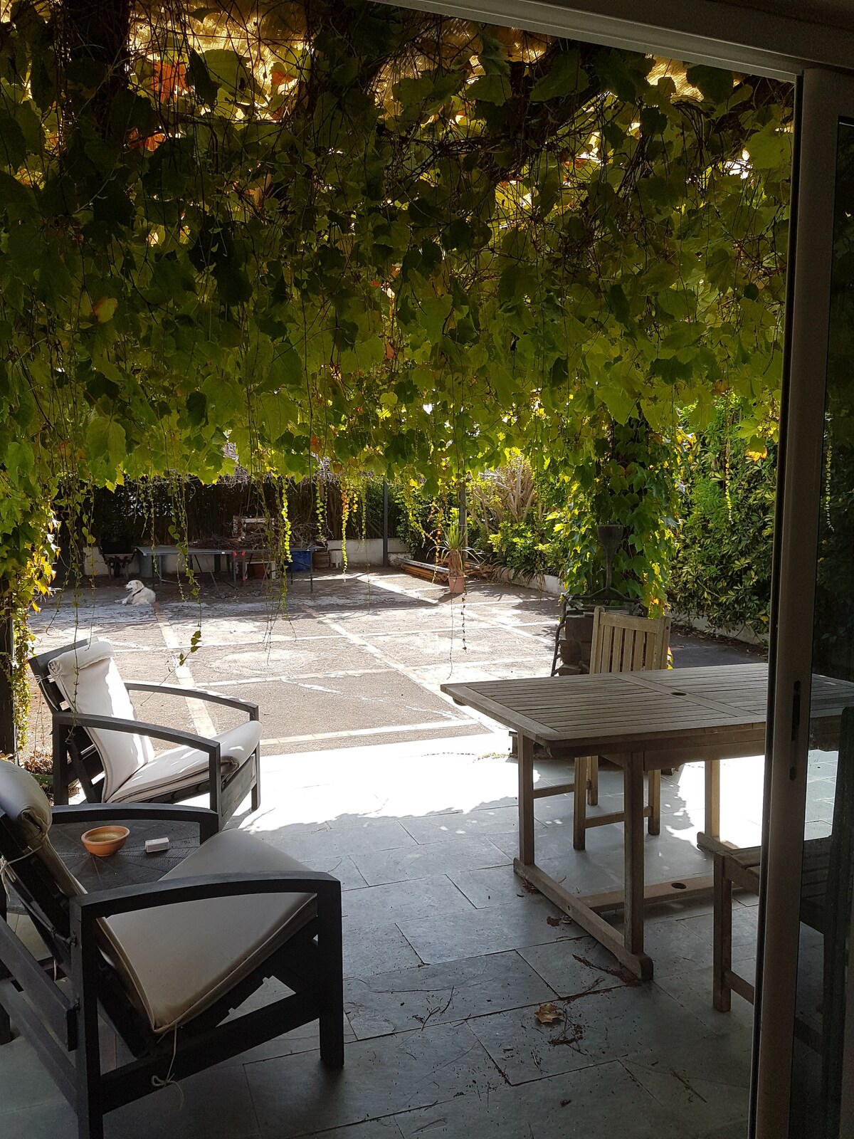 A private terrace is visible, shaded by lush green vines overhead. A wooden table and chairs are arranged for outdoor dining, while a stone-paved area provides space for relaxation. The surrounding garden adds a natural backdrop, enhancing the atmosphere of the outdoor living space.