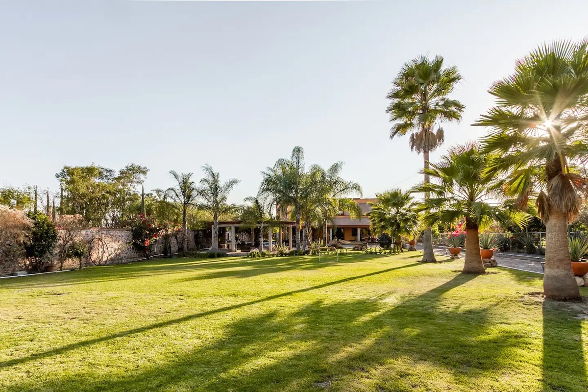A spacious green lawn is surrounded by palm trees and various plants, creating a serene setting. The house is partially visible in the background, set amidst colorful flowers. Sunlight casts gentle shadows across the grass, adding to the tranquil ambiance.