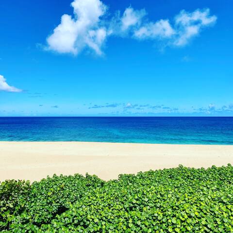 Hale Log Cabins Beachfront Oahu 40% discount