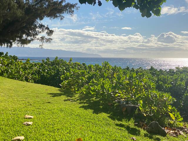 Hale Log Cabins Beachfront Oahu 40% discount gallery image 2