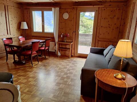 Large 1 bedroom apartment with large balcony