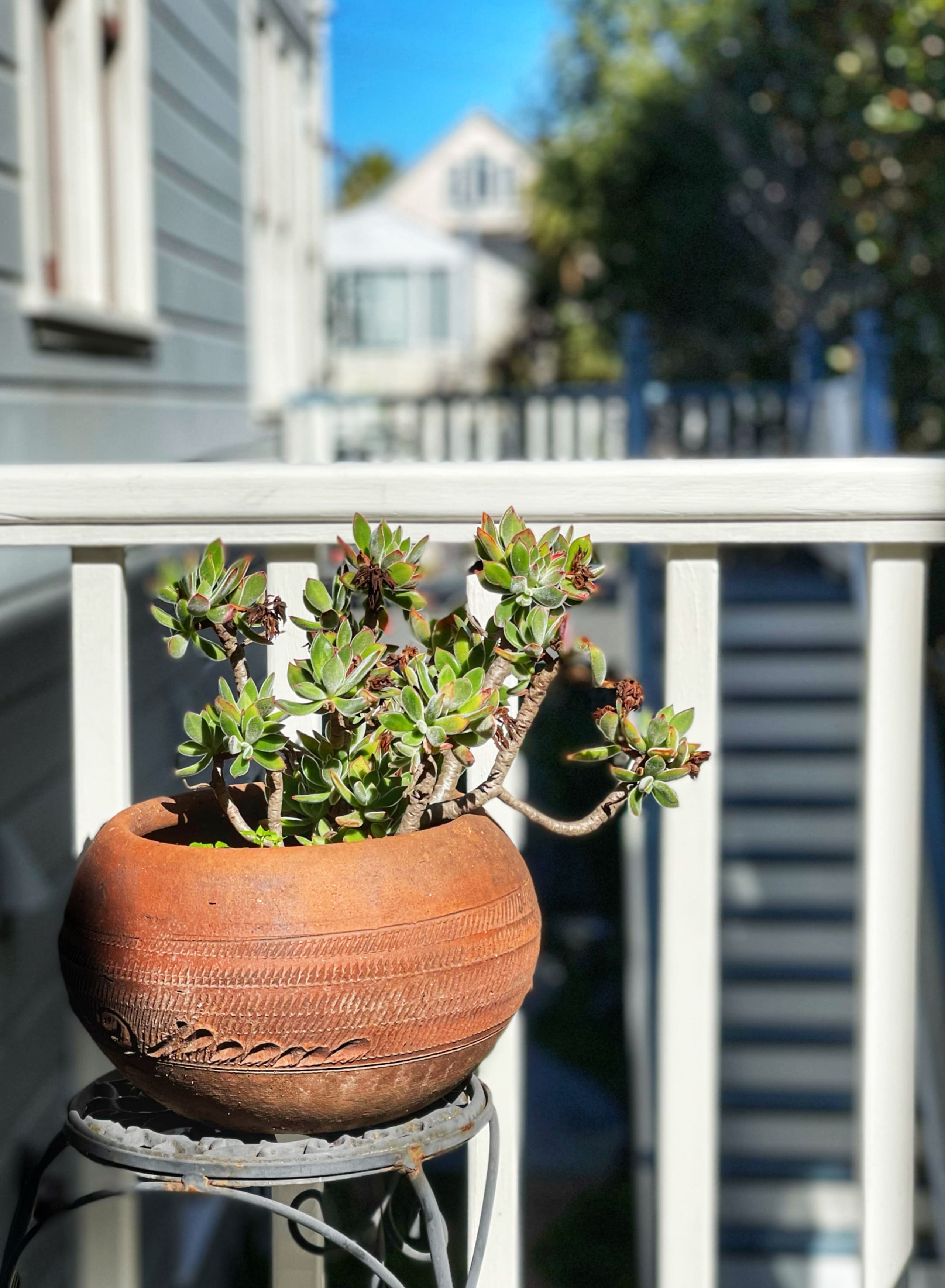 Home in San Francisco · ★4.91 · 3 bedrooms · 3 beds · 2.5 baths - Image 40