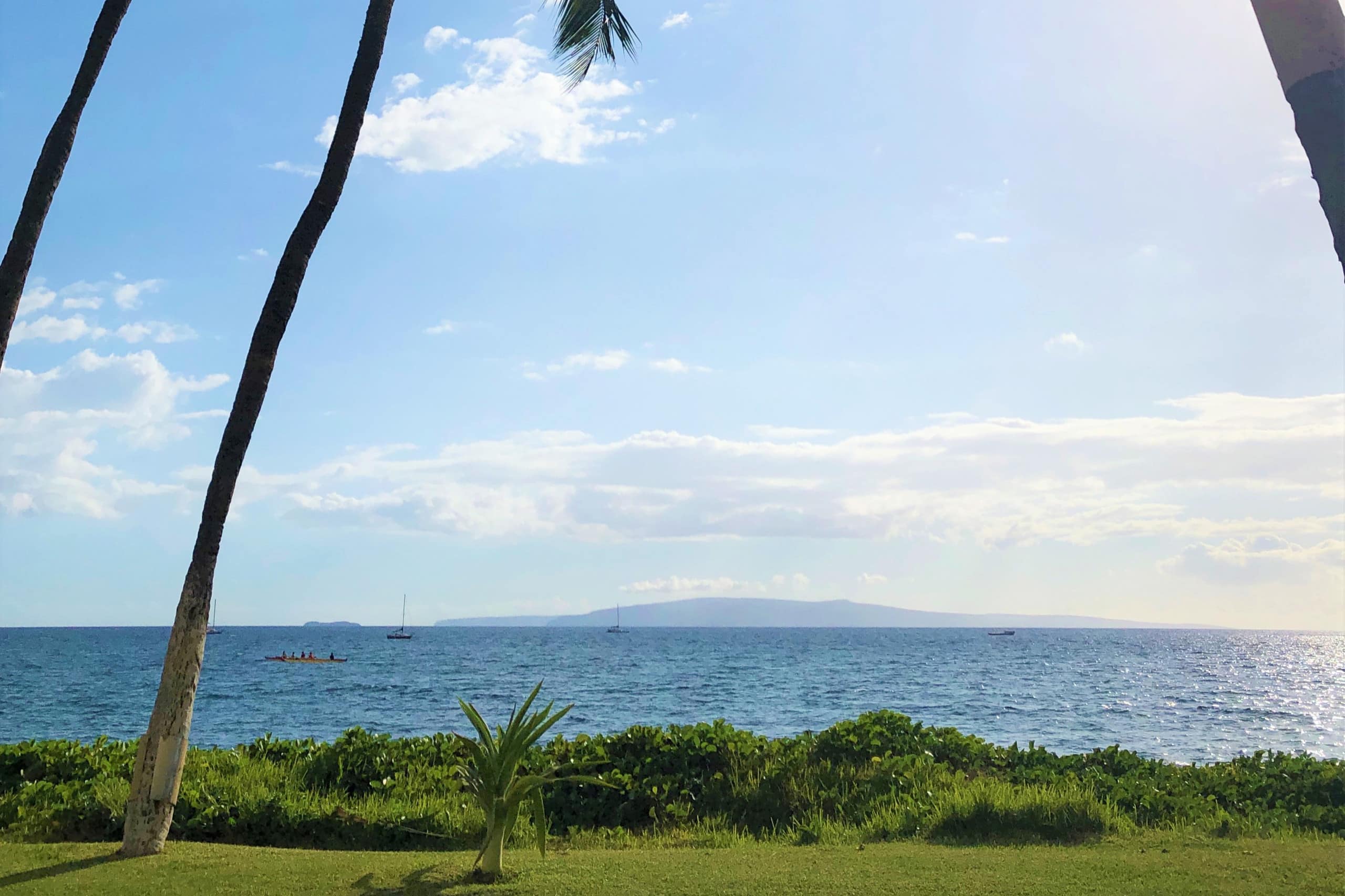 Condo in Kihei · ★4.86 · 1 bedroom · 2 beds · 1 private bath - Image 7