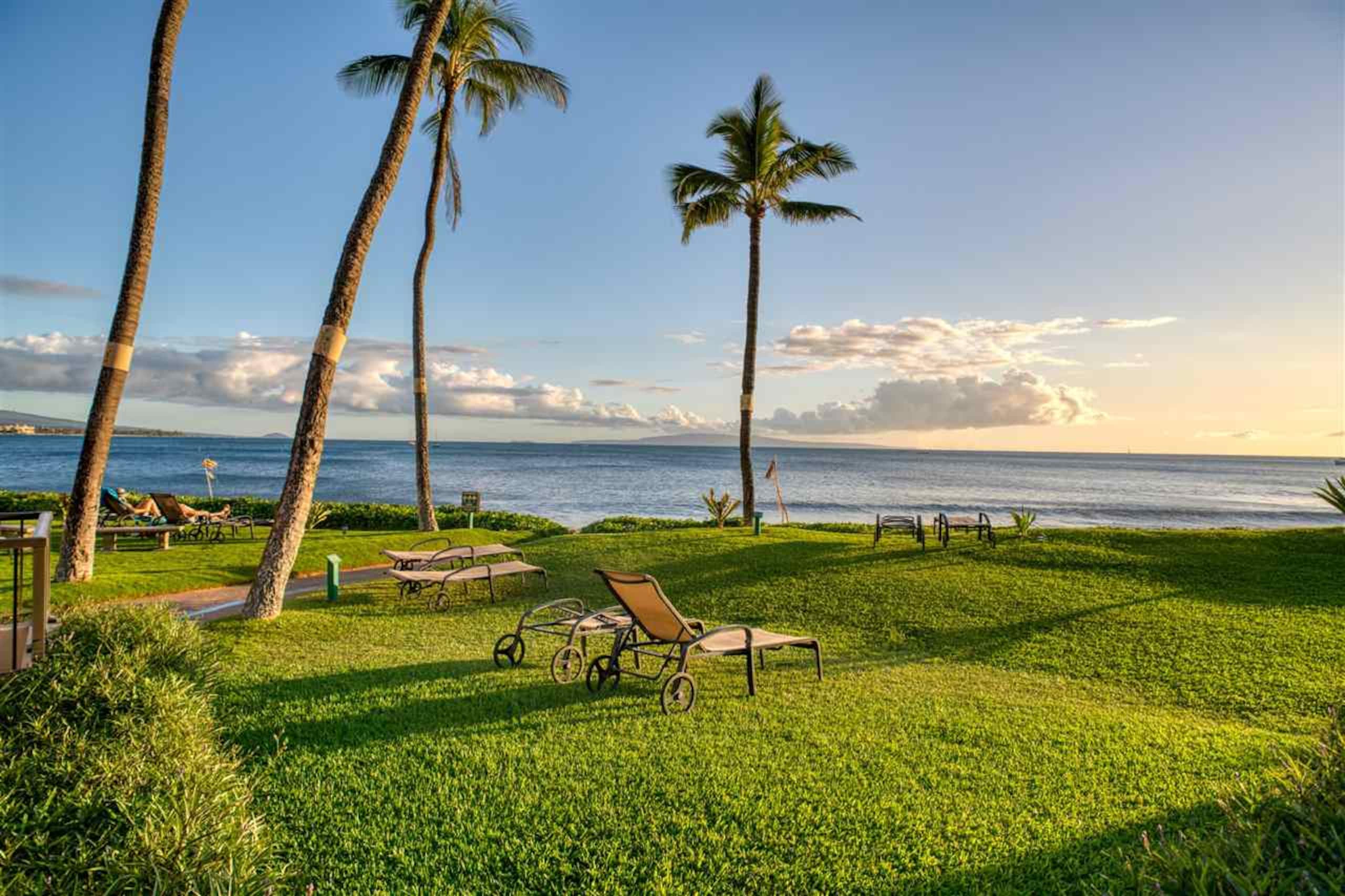Condo in Kihei · ★4.86 · 1 bedroom · 2 beds · 1 private bath - Image 13
