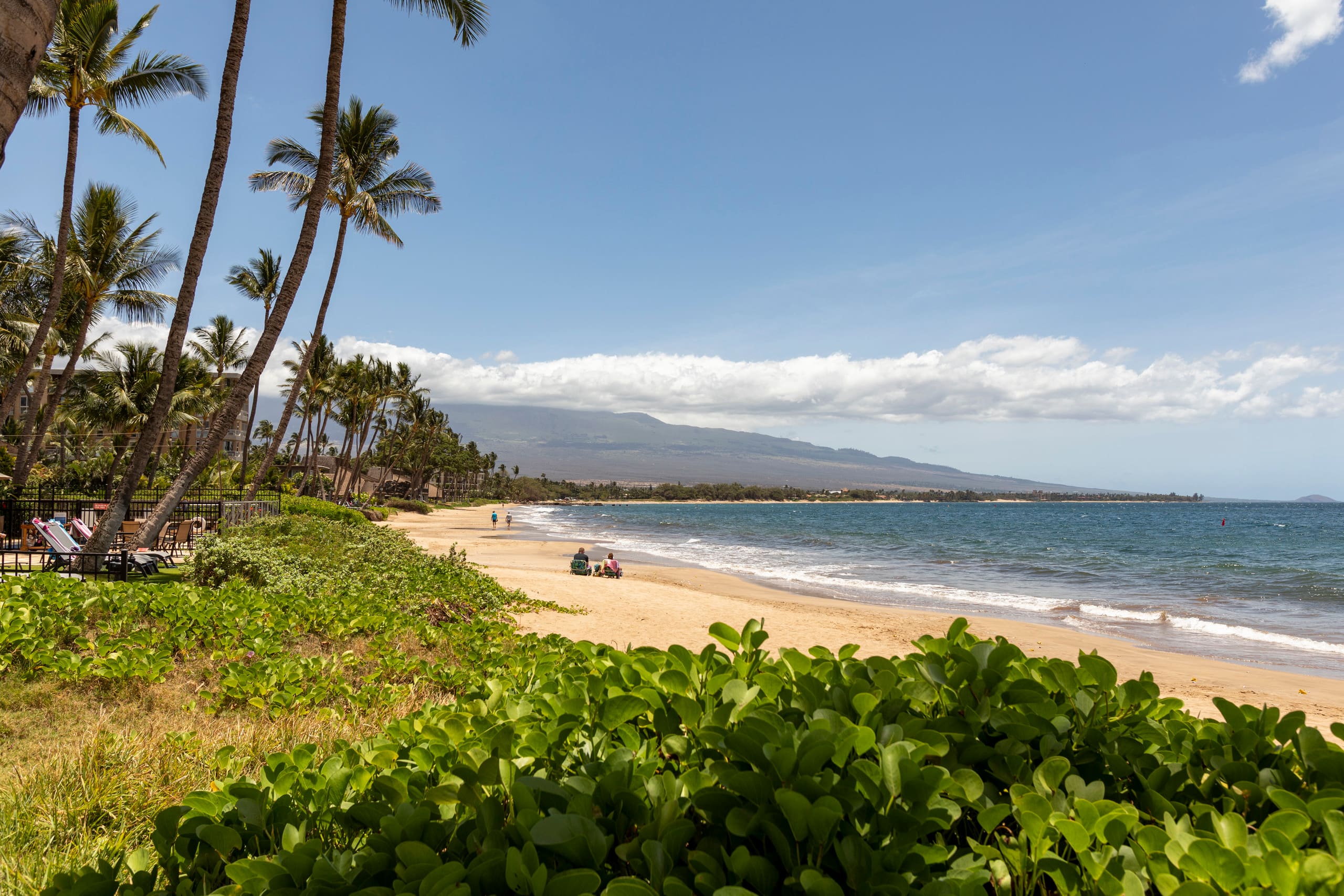 Condo in Kihei · ★4.86 · 1 bedroom · 2 beds · 1 private bath - Image 1