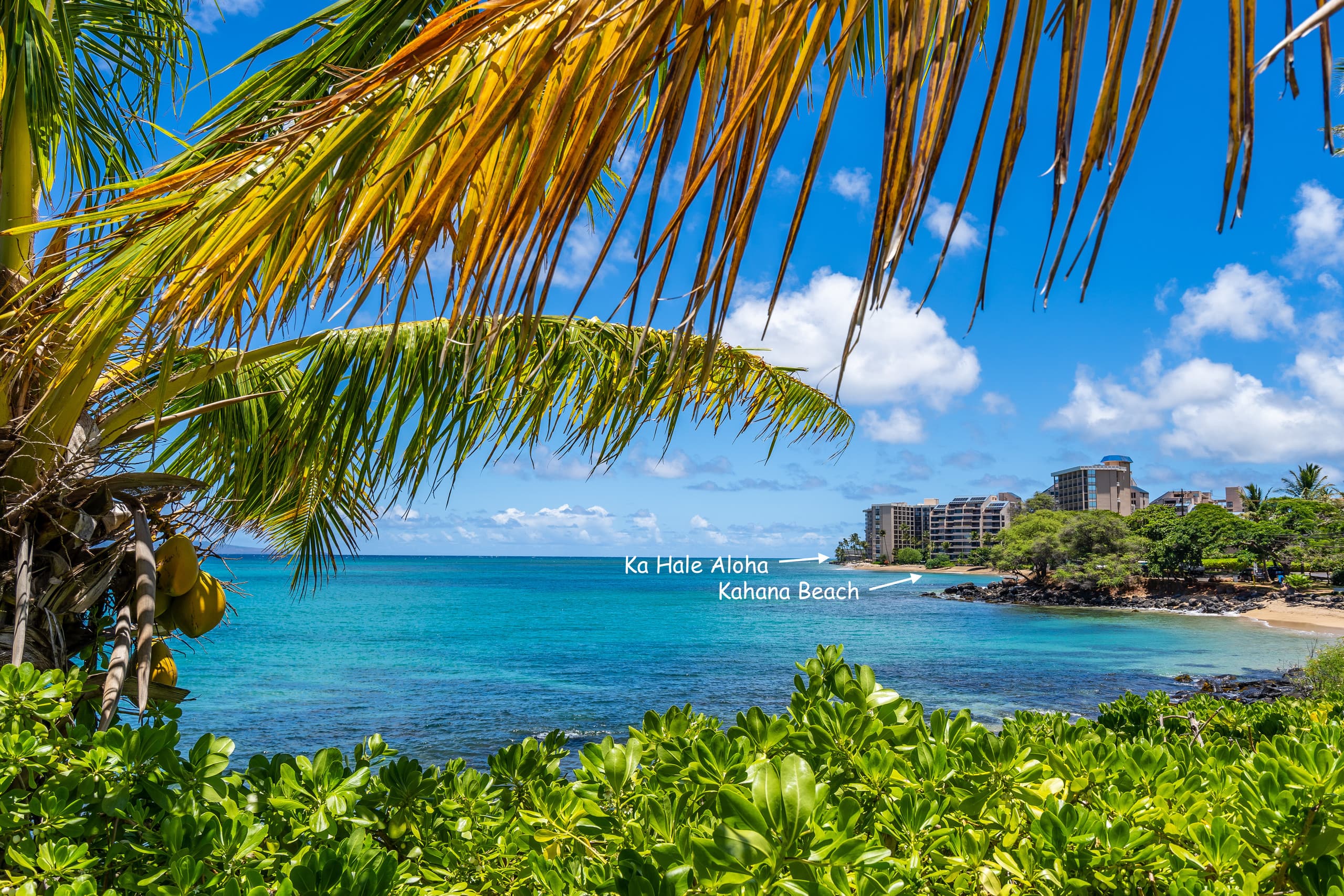 Peaceful Maui Bungalow | Ka Hale Aloha-Love Shack - Image 39