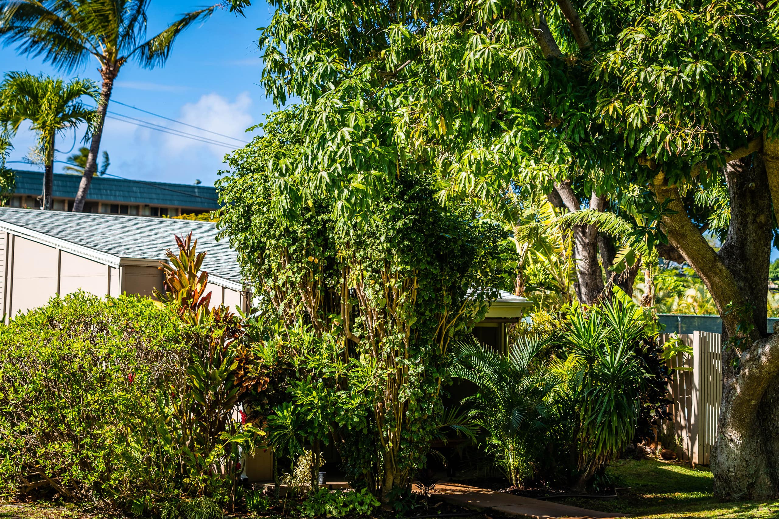 Peaceful Maui Bungalow | Ka Hale Aloha-Love Shack - Image 32