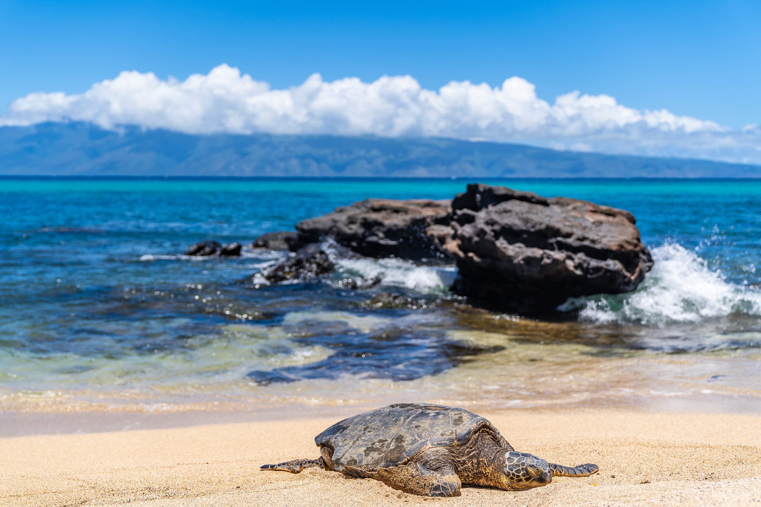 Peaceful Maui Bungalow | Ka Hale Aloha-Love Shack - Image 44