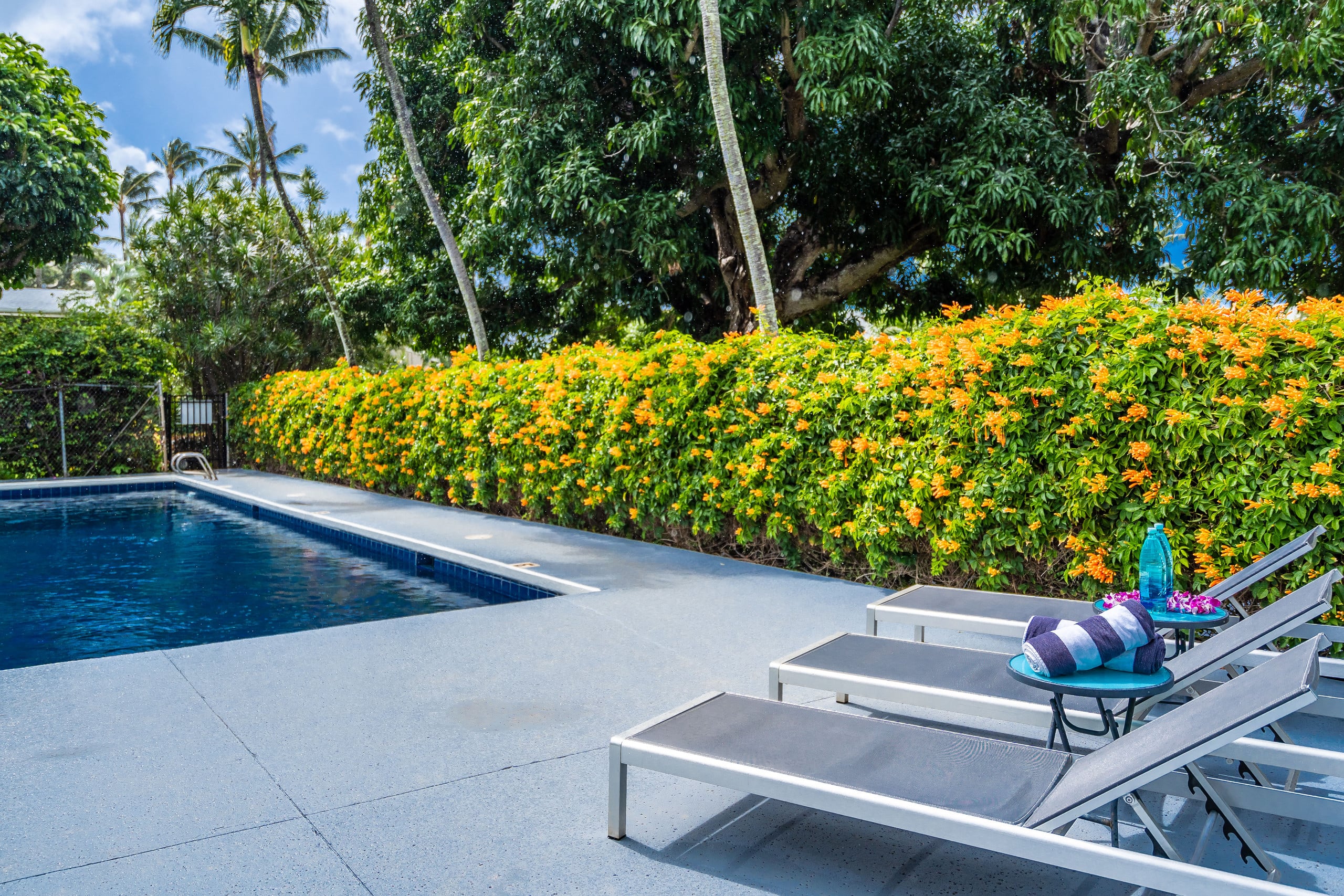Peaceful Maui Bungalow | Ka Hale Aloha-Love Shack - Image 37