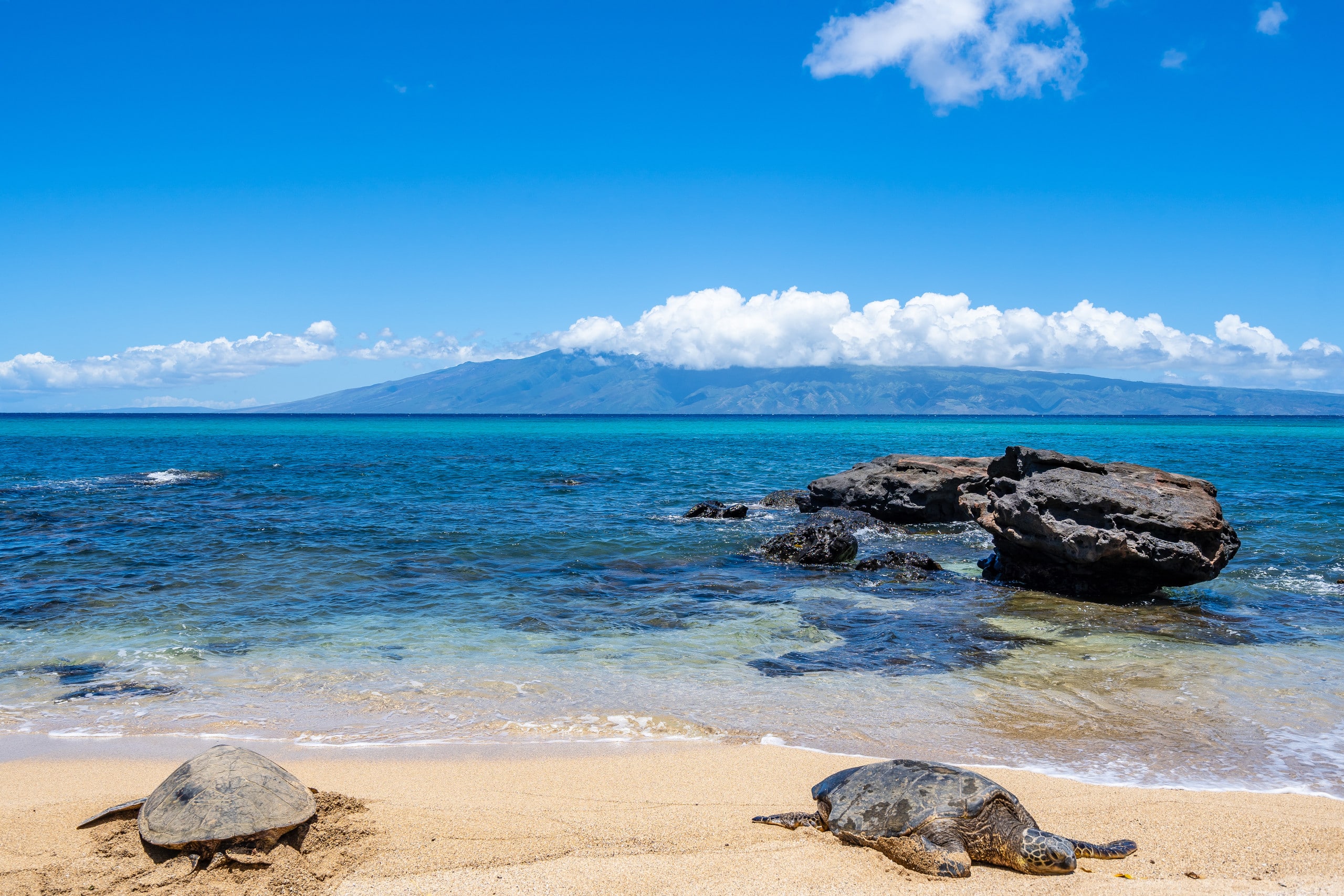 Peaceful Maui Bungalow | Ka Hale Aloha-Love Shack - Image 11